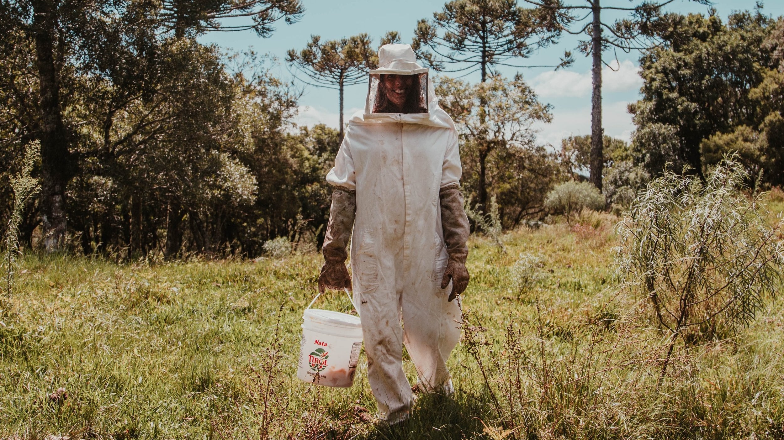 5 sencillas maneras de ayudar a salvar a las abejas