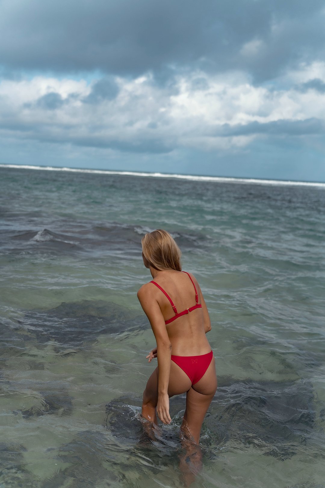 BERMUDAS BOTTOM PALM TREE