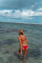 BERMUDAS BOTTOM PALM TREE