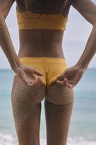 CULOTE BOTTOM PALM TREE